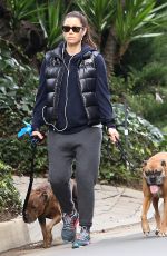 Pregnant JESSICA BIEL Walks Her Dogs Out in Hollywood