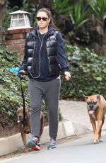 Pregnant JESSICA BIEL Walks Her Dogs Out in Hollywood