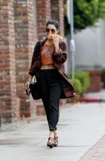 VANESSA HUDGENS Out and About in West Hollywood 0312