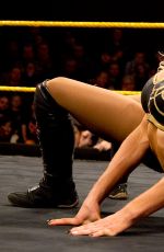 WWE - NXT Digitals 25th December 2014