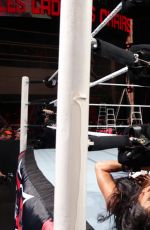 WWE - TLC and RAW 2014 Digital