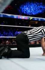 WWE - TLC and RAW 2014 Digital