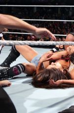 WWE - TLC and RAW 2014 Digital