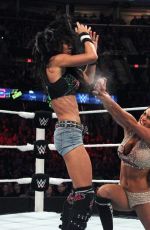 WWE - TLC and RAW 2014 Digital