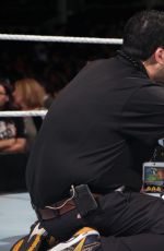 WWE - TLC and RAW 2014 Digital