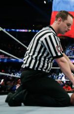 WWE - TLC and RAW 2014 Digital