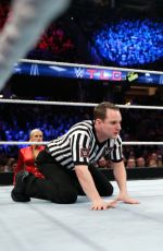 WWE - TLC and RAW 2014 Digital