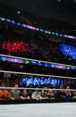 WWE - TLC and RAW 2014 Digital