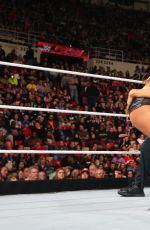 WWE - TLC and RAW 2014 Digital