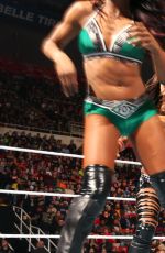 WWE - TLC and RAW 2014 Digital