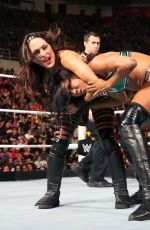 WWE - TLC and RAW 2014 Digital