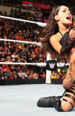 WWE - TLC and RAW 2014 Digital