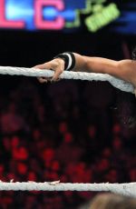 WWE - TLC and RAW 2014 Digital