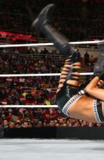 WWE - TLC and RAW 2014 Digital
