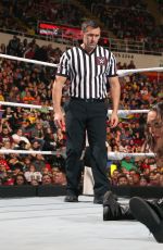 WWE - TLC and RAW 2014 Digital