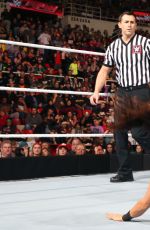 WWE - TLC and RAW 2014 Digital