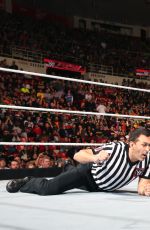 WWE - TLC and RAW 2014 Digital