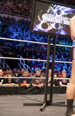 WWE - TLC and RAW 2014 Digital