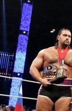 WWE - TLC and RAW 2014 Digital