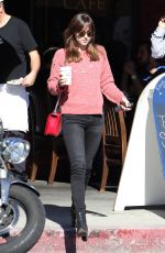 DAKOTA JOHNSON in Jeans Out and About in West Hollywood 2301
