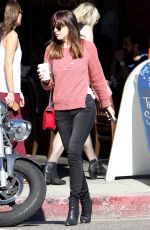 DAKOTA JOHNSON in Jeans Out and About in West Hollywood 2301
