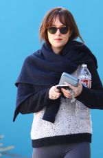 DAKOTA JOHNSON in Tights Out in West Hollywood 0201