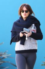 DAKOTA JOHNSON in Tights Out in West Hollywood 0201