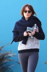 DAKOTA JOHNSON in Tights Out in West Hollywood 0201