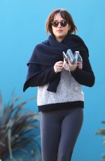 DAKOTA JOHNSON in Tights Out in West Hollywood 0201