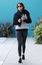 DAKOTA JOHNSON in Tights Out in West Hollywood 0201