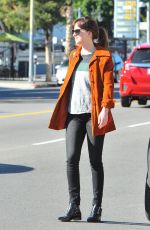 DAKOTA JOHNSON Out and About in Los Angeles 1401