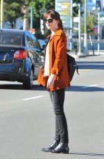 DAKOTA JOHNSON Out and About in Los Angeles 1401