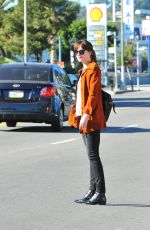 DAKOTA JOHNSON Picking Up Dry Cleaning in Los Feliz