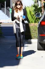 DAKOTA JOHNSON Shopping at Erewhon Natural Foods Market in West Hollywood