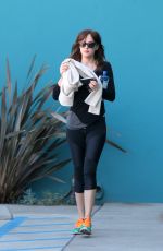 DAKOTA JOHNSON Shopping at Erewhon Natural Foods Market in West Hollywood