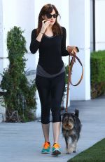 DAKOTA JOHNSON Walks Her Dog Out in West Hollywood