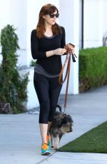 DAKOTA JOHNSON Walks Her Dog Out in West Hollywood