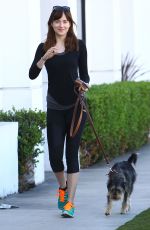 DAKOTA JOHNSON Walks Her Dog Out in West Hollywood