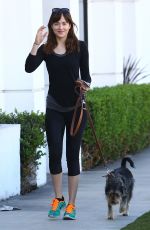 DAKOTA JOHNSON Walks Her Dog Out in West Hollywood