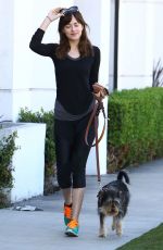 DAKOTA JOHNSON Walks Her Dog Out in West Hollywood