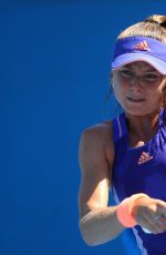 DANIELA HANTUCHOVA at 2015 Australian Open in Melbourne