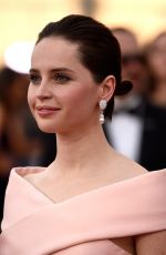 FELICITY JONES at 2015 Screen Actor Guild Awards in Los Angeles