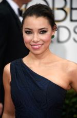 JESSICA PARKER KENNEDY at 2015 Golden Globe Awards in Beverly Hills