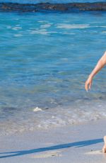 MEGAN FOX in Bikini on the Beach in Hawaii