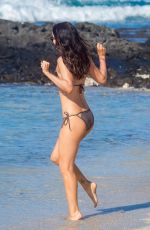 MEGAN FOX in Bikini on the Beach in Hawaii