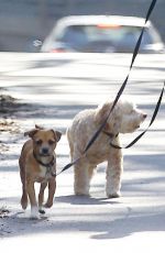 MINKA KELLY in Leggings Walks Her Dogs Out in Hollywood