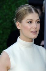 ROSAMUND PIKE at 2015 Critics Choice Movie Awards in Los Angeles