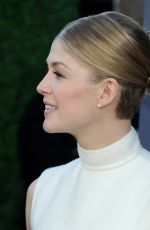ROSAMUND PIKE at 2015 Critics Choice Movie Awards in Los Angeles