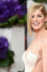 ROSAMUND PIKE at 2015 Golden Globes Awards in Beverly Hills