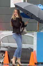 SOFIA VERGARA in Tight Jeans Out in Brentwood 1001